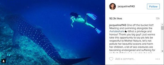 Jacqueline Fernandez swimming with a whaleshark