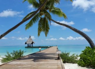 Canareef Maldives