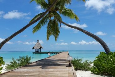 Canareef Maldives