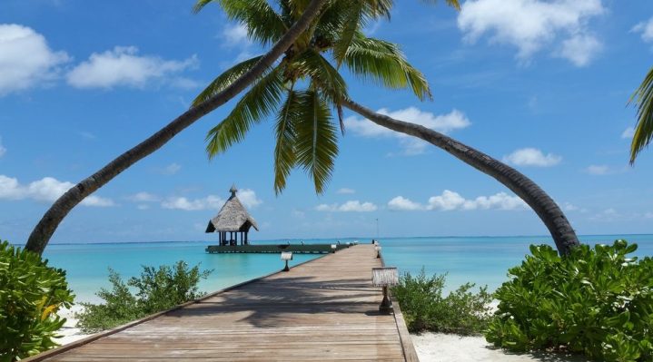 Canareef Maldives