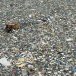plastic-waste-5
