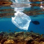 Jamaica-to-ban-single-use-plastic-bags-straws-by-2019