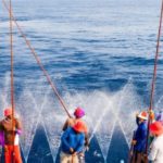 MSC-Maldives-1067-825×340