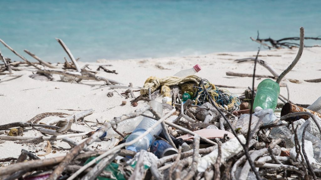 Maldives to Ban Use on Single-Use Plastic Imports From 2021 | Corporate ...