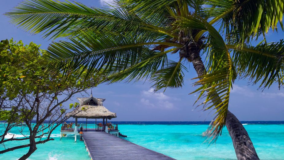 Corporate Maldives (26)