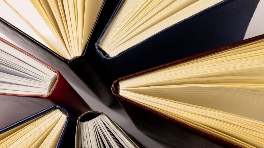 Corporate Maldives (50)