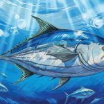 Dhiraagu Dedicates December 2025 Calendar Spread to Maldivian Fishing Heritage