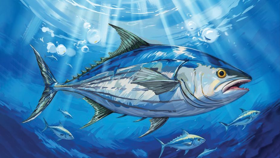 Corporate Maldives - 2025-12-11T024430.799