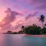 Maldives Records 4.6 Percent Rise in Tourist Arrivals in January 2026
