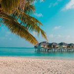 Arrivals Up 13.4% in First Half of February as Tourism Momentum Continues