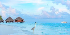 Strong February Pushes 2026 Tourist Growth to Nearly 10%