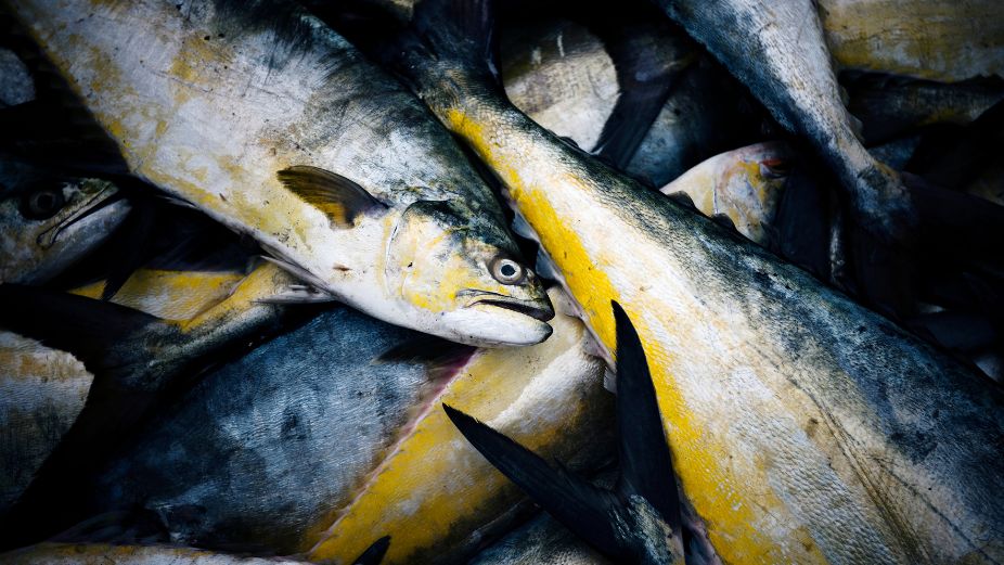 Corporate Maldives - 2026-03-04T143614.224