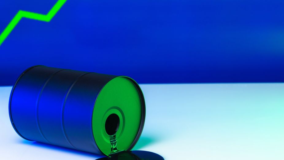 Corporate Maldives - 2026-03-09T125543.086