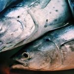 Gov’t Expands FAD Network to Support Fisheries Sector