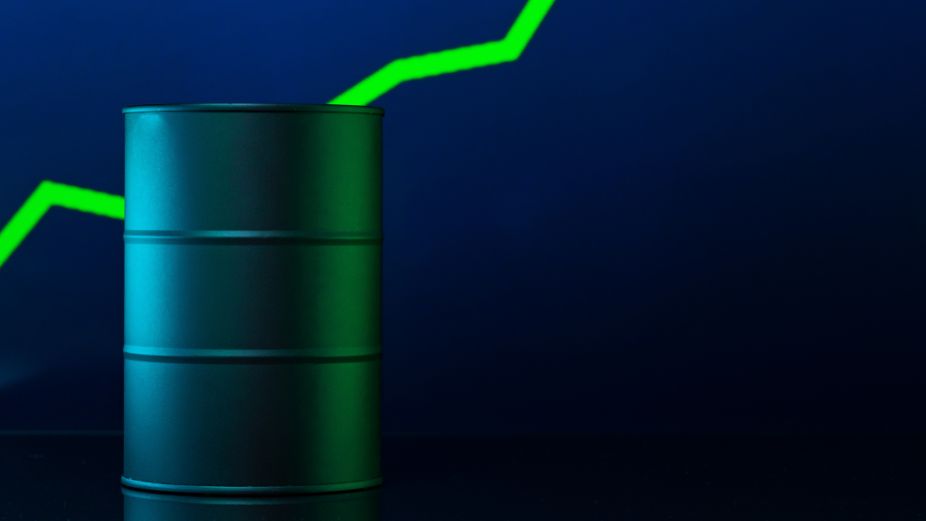 Corporate Maldives - 2026-03-27T152012.627